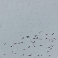 Stålfast ,  ,  820200276476