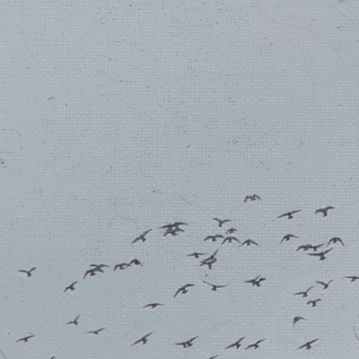 Stålfast ,  ,  820200276476