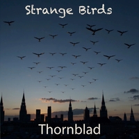 Strange Birds ,  ,  820200949929