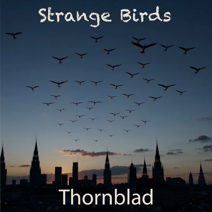 Strange Birds ,  ,  820200949929
