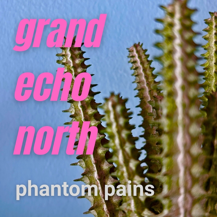 Phantom Pains ,  ,  820200866547