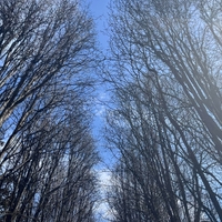 The Climb of the Century ,  ,  5056760522202