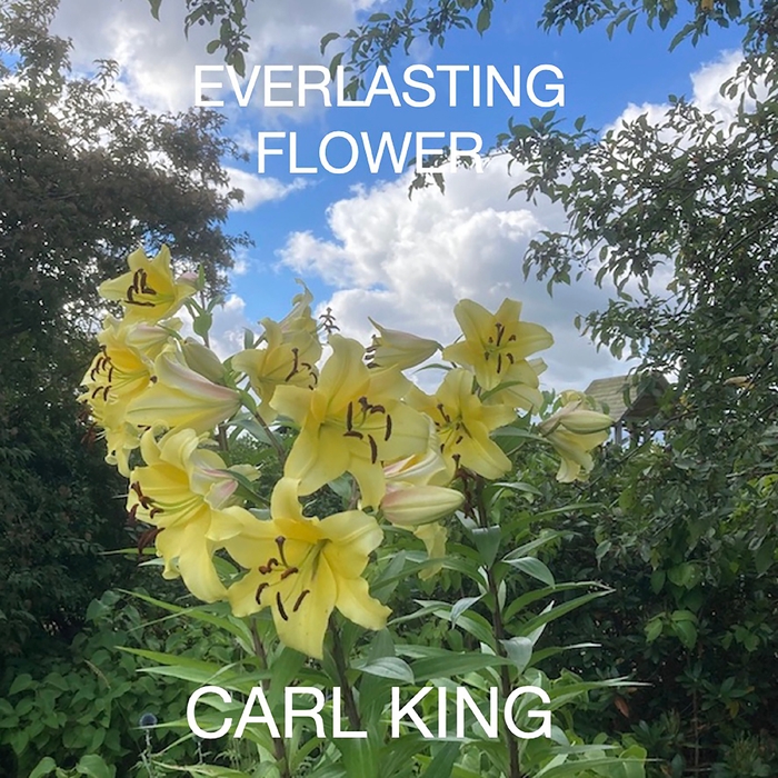 Everlasting Flower ,  ,  885288620917